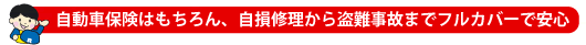 自動車保険はもちろん、自損修理から盗難事故までフルカバーで安心